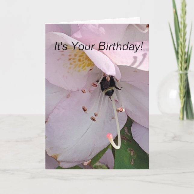 Bee Bottom Birthday Card (Front)
