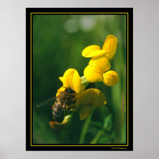 Bee Breakfast Poster