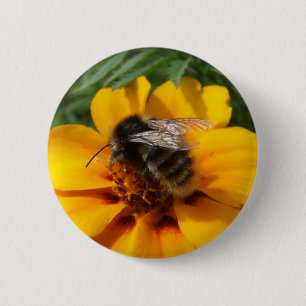 Bee Button