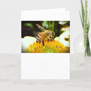 Bee, card