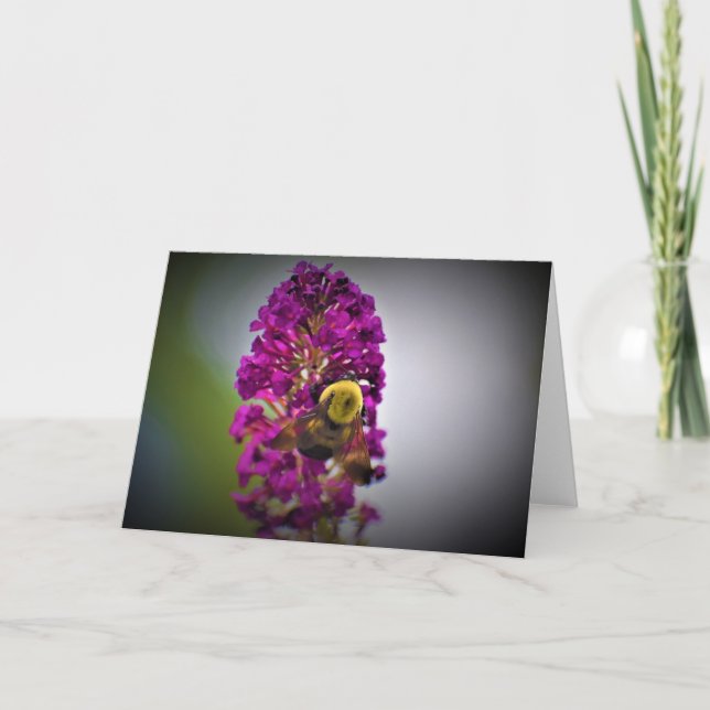 Bee, card (Front)