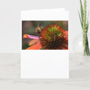 Bee, card