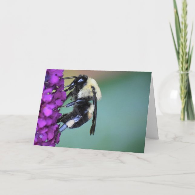 Bee, card (Front)