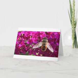 Bee, card