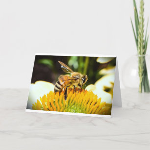Bee, card