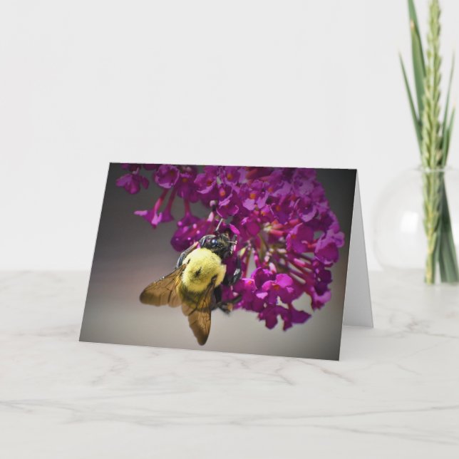Bee, card (Front)