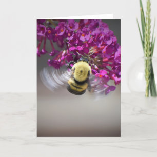 Bee, card