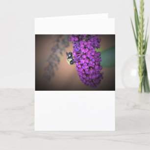 Bee, card