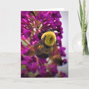 Bee, card