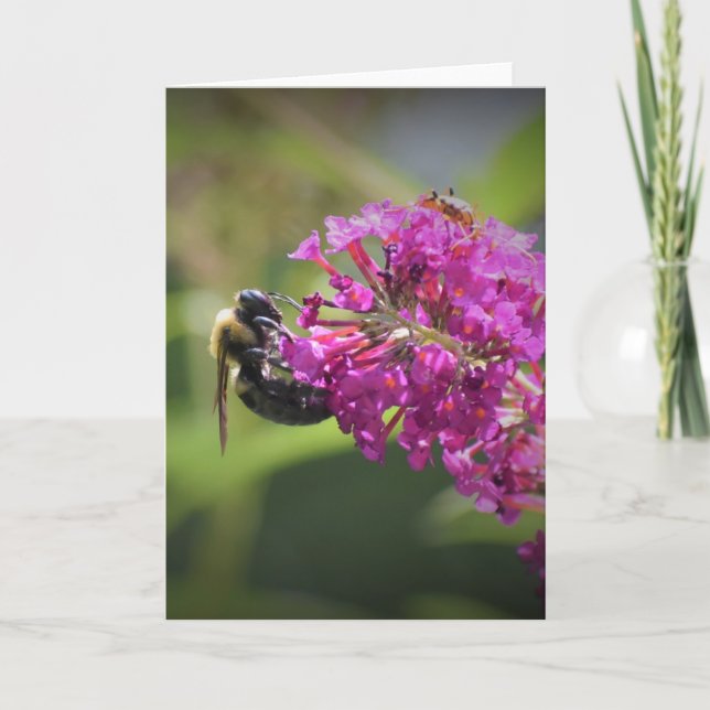 Bee, card (Front)