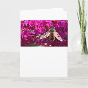 Bee, card