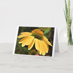 Bee, card