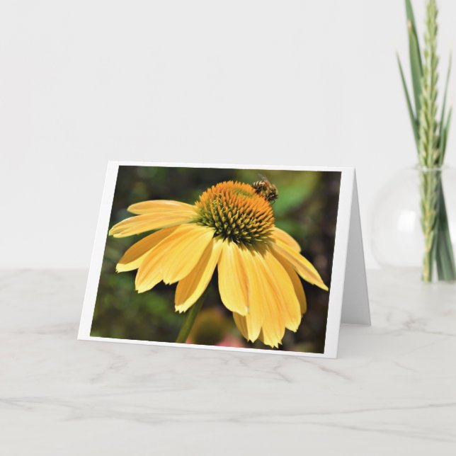 Bee, card (Front)