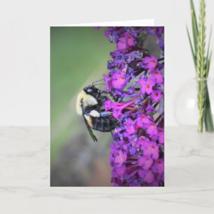 Bee, card