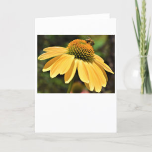 Bee, card