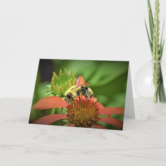 Bee, card (Front)