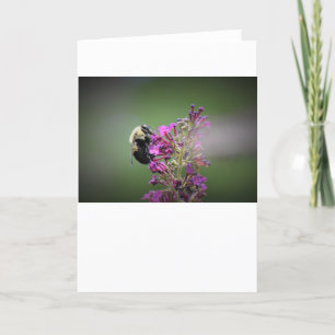Bee, card