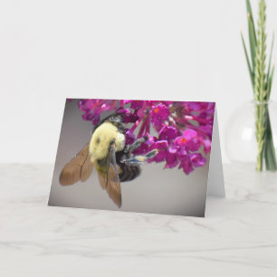 Bee, card