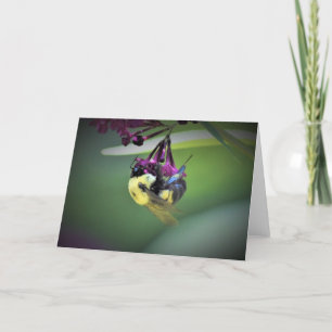 Bee, card