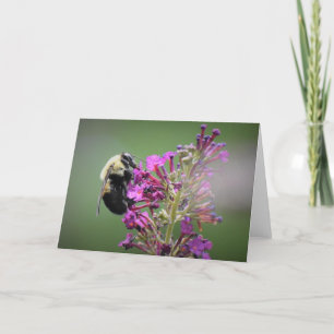 Bee, card