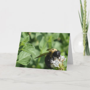 Bee Card