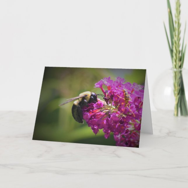 Bee, card (Front)