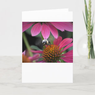 Bee, card