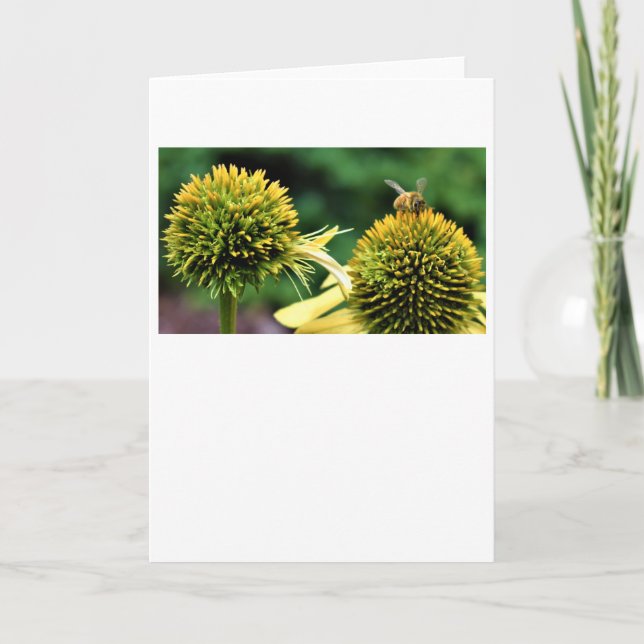 Bee, card (Front)