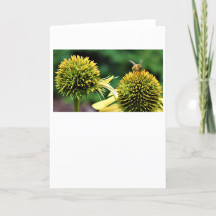 Bee, card