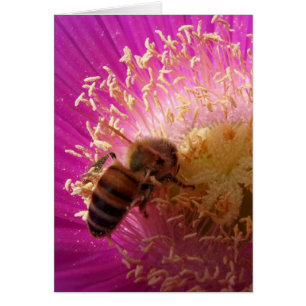 Bee Card