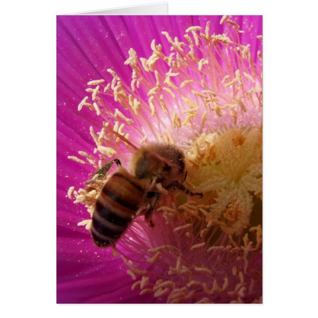 Bee Card (Front)