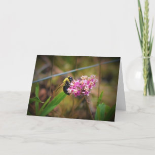 Bee, card