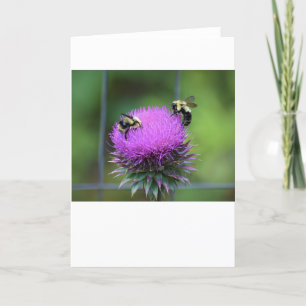 Bee, card