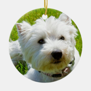 bee ceramic ornament