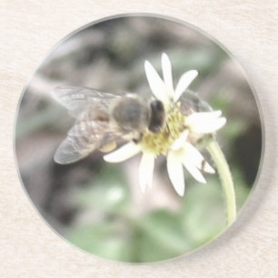 Bee Coaster