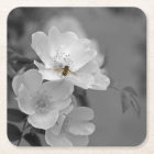 Bee Coaster