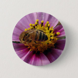 Bee Cosmo, Honey Bee and Cosmo Flower 2 Inch Round Button