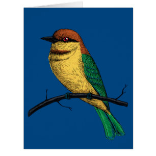 Bee eater