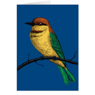Bee eater