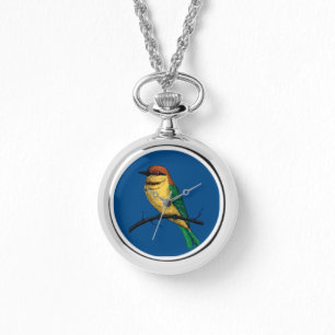 Bee eater watch
