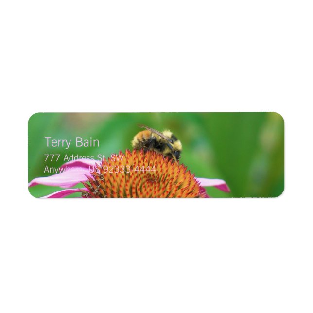 Bee Echinacea (Front)