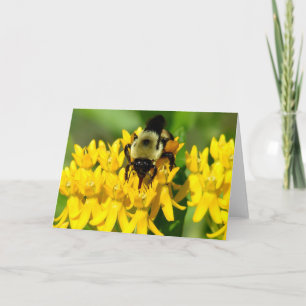 Bee Feasting on Butterfly Weed Wildflowers Card