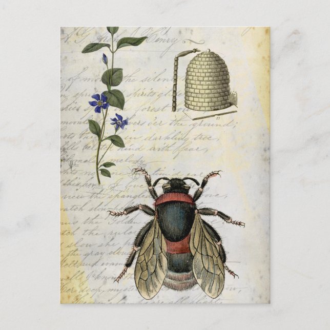 Bee Flower Hive Postcard (Front)