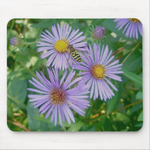 Bee Fly & Purple Asters Mousepad