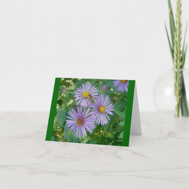 Bee Fly Purple Asters Note Card (Front)