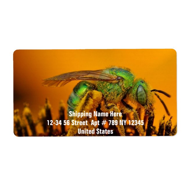 Bee Getting Sweet 1 (Front)