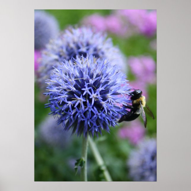 Bee-have poster (Front)