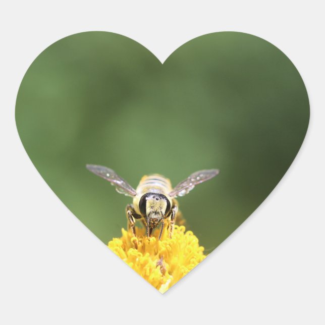 Bee Heart Sticker (Front)