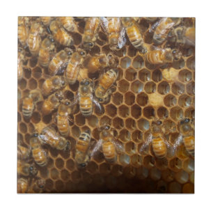 Bee Hive Tile