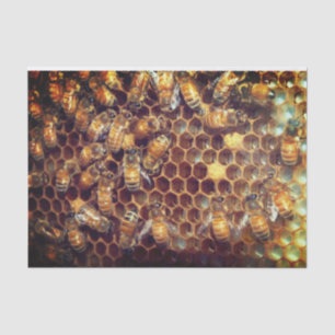 Bee Hive Tissue Paper